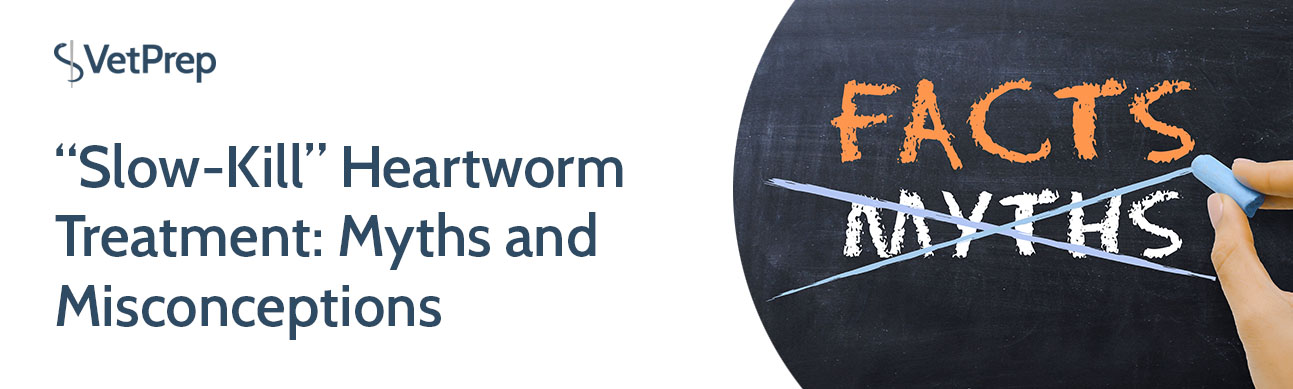 Ivermectin and hotsell doxycycline heartworm treatment